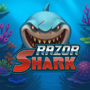 Razor Shark Casino
